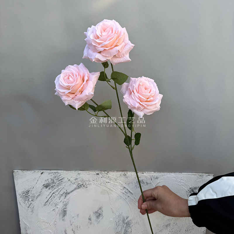 Real object without green leaves 3-head lover rose pink