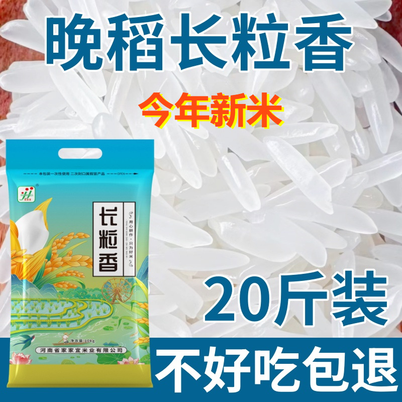 2025 New Long-Grain Fragrant Rice 5kg 10kg Late-Season Rice Wholesale Direct from Manufacturer