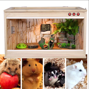 ��������،m�r�B�W�^���o�ľ�з�}�����������x�����߱�����B��