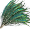 Factory wholesale peacock feathers 25-30 cm peacock tail feather tail feathers and peacocks peacock eye peacock sword