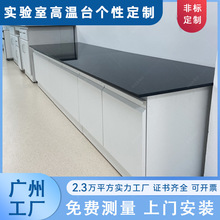 满柜实验室实验台钢木中央高温台化学实验专用家具设备钢木实验台