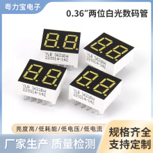 0.36��2λ�����׹�Ǹ�14mm 3621BW���������Ǳ����������������