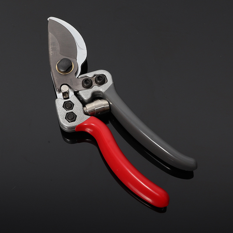 Pruning branches, pruning flowers, pruning gardens, pruning art, pruning branches, pruning fruit trees, pruning branches, pruning flowers, pruning shears