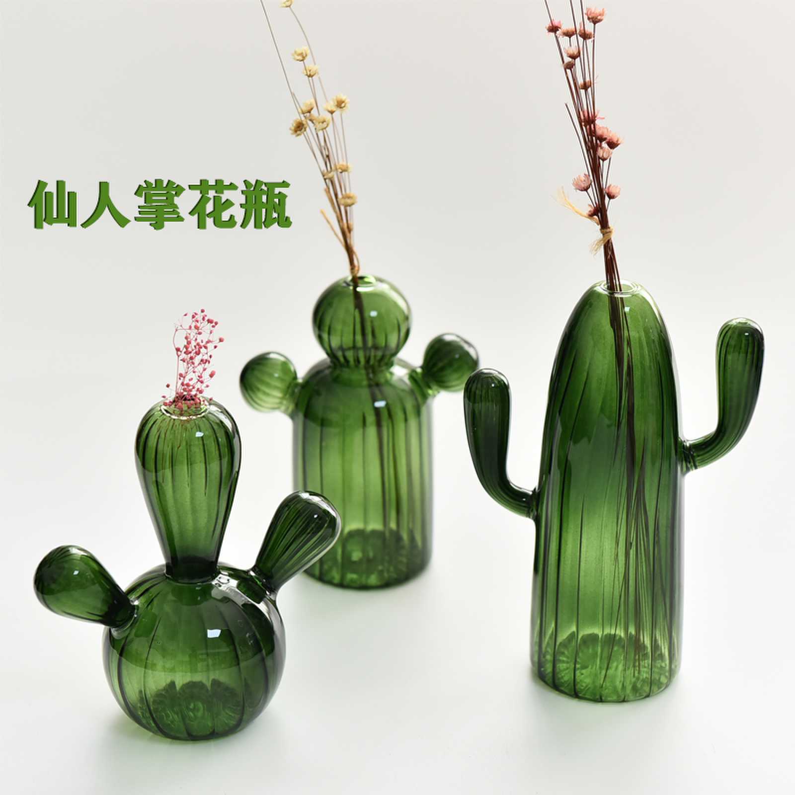 Florero de cristal colorido creativo ins decoración de escritorio florero de cactus personalizado hidropónico flor dispositivo aromaterapia botella Decoración