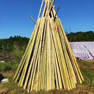 �S�ҹ���������b���͵�������b���g��2��3��4���Lë�����