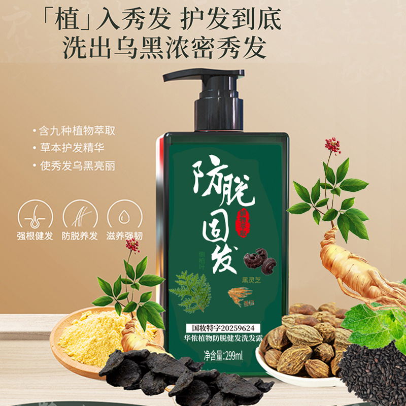 Shampoo with ginger silicone free
