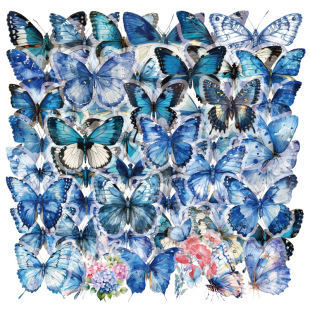 50����ͨ��ɫ�����N������ˮ͸��pet�N���֎��b����Pӛ���N��