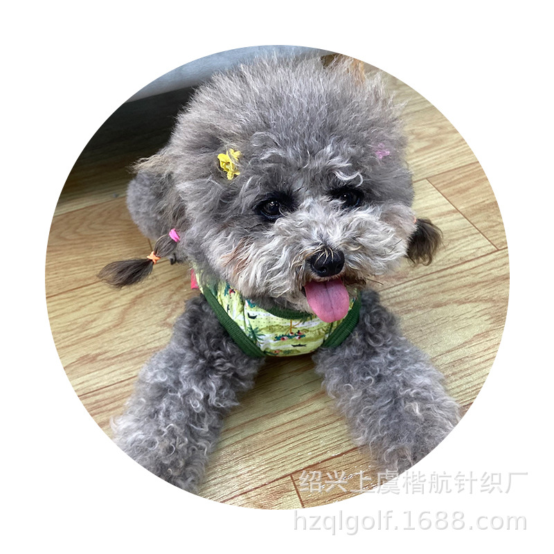 ﹷʱӡT· շӡ͸TСȮװ