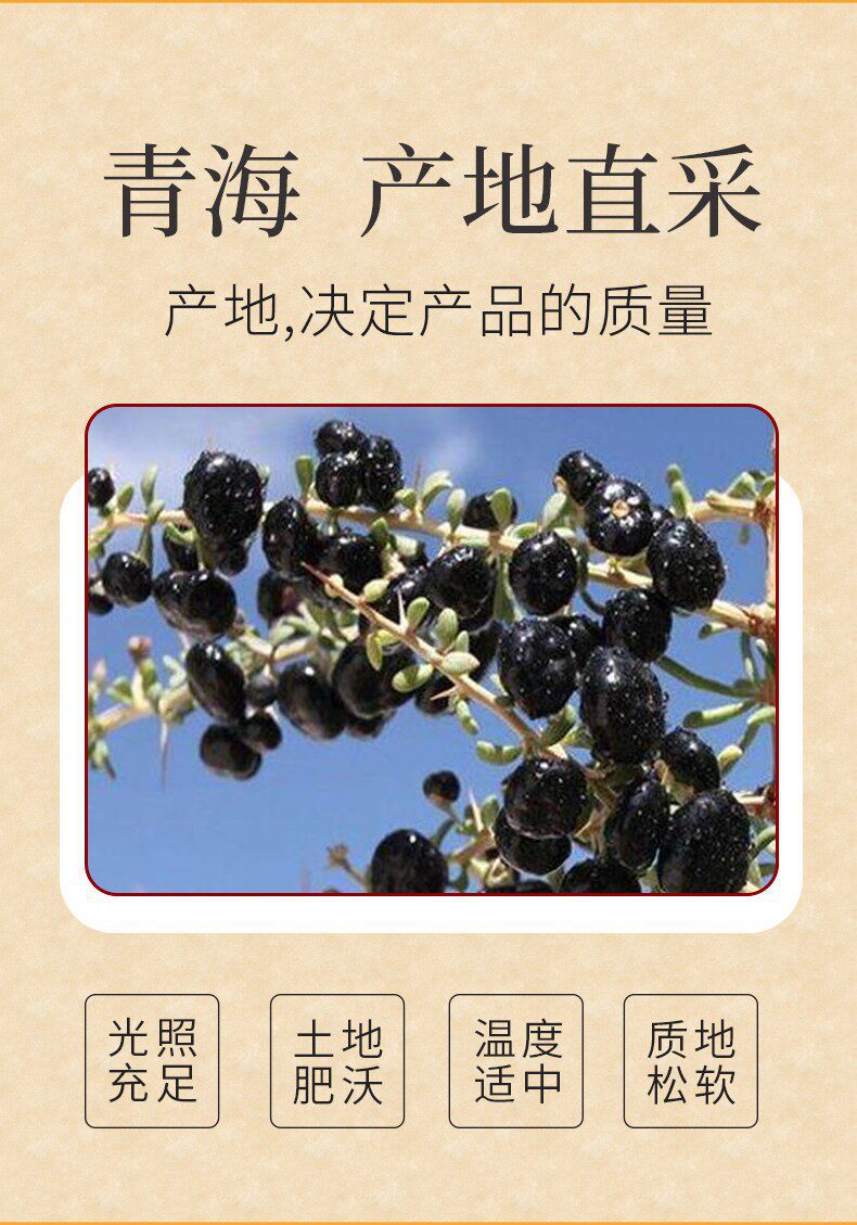 Dried Black Goji Berry and Mulberry Tea 500g Jar Chinese Wolfberry Herbal Infusion quality and texture