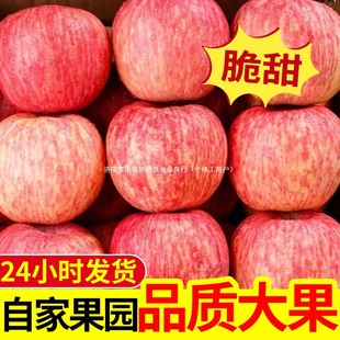 ╹���@  ����ɽ�|��̨����ˮ����ϼ�t��ʿ�O��ˮ��5��3��10���]