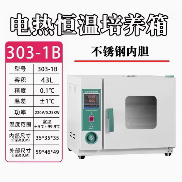 Incubadora de calor eléctrico 43L de acero inoxidable con soplado 303 - 1B