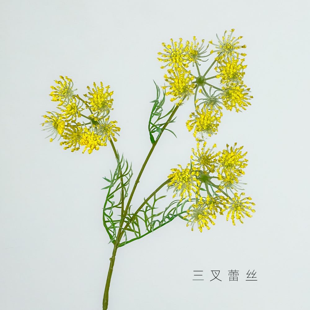 노란색 3갈래 레이스 꽃