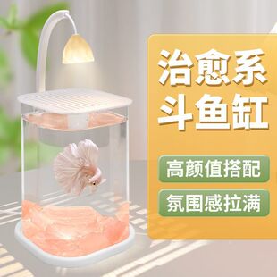 2025�¿�~��С�;W�t�����׿͏d�����^�p�~�쾰�k���ҹ�λ�~��