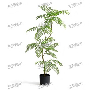 Artificial Jacaranda Tree �{��麷����