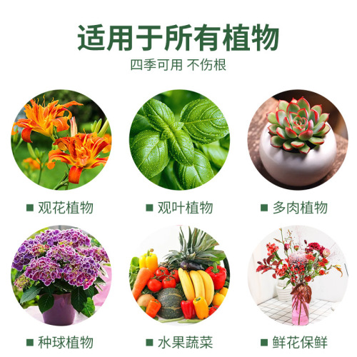 Plant energizer rooting and flowering plant fairy water potted growth horticulture energizer nutrient solution universal type