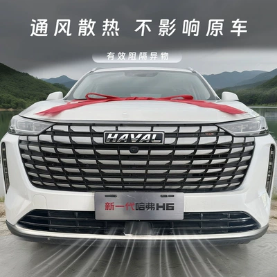 Automobile anti-insect net Wall Haval H6, snap-on anti-insect net