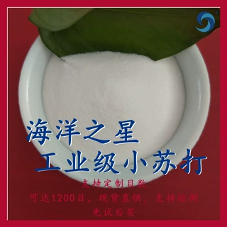 现货供应工业级小苏打 144-55-8小苏打 99含量工业级碳酸氢钠
