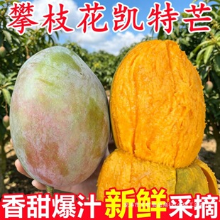 �Ĵ���֦���P��ââ�����r���10������r��Ꭷ�ЋDˮ������