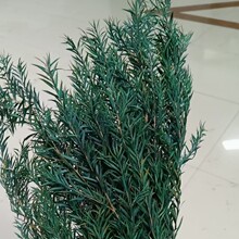 ��ɫ����ǧ�ӽ� �ɻ�����������ǧ�ӽ� ���������ϰ�ǧ�ӽ����l