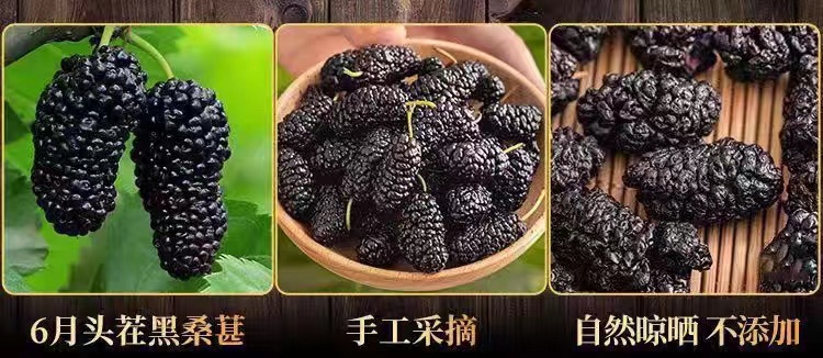 Dried Black Mulberry Fruit Sang Shen Zi 500g Sun Dried Xinjiang Mulberries for Tea and Snacking key features