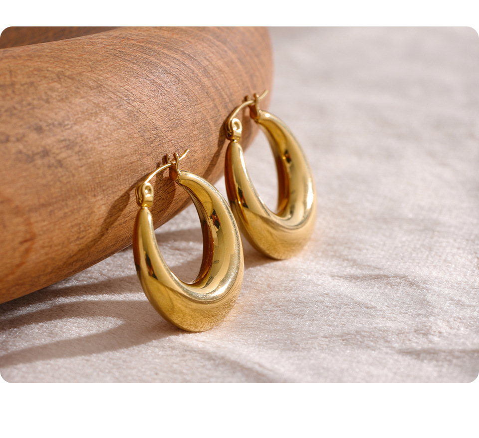 Fashion Solid Color Titanium Steel Plating Earrings 1 Pair