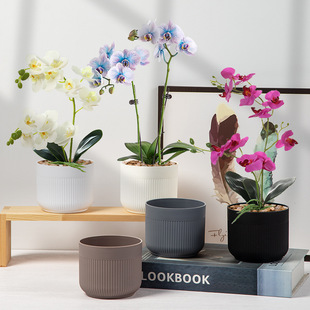 Manufacturer Supplies Imitation Ceramic Plastic Flower Pots for Household Phalaenopsis Artificial Flowers Special Gardening Succulent Flower Pots Wholesale