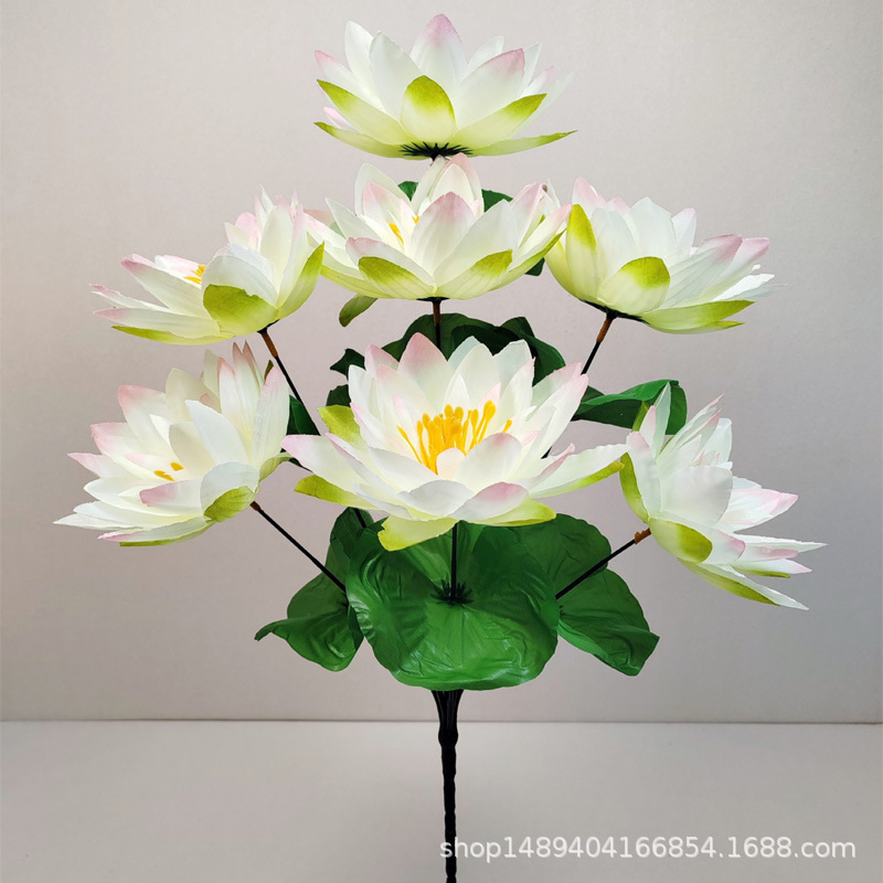 7 수련 도트 핑크