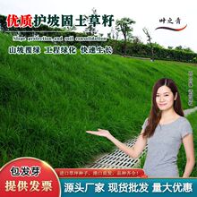 �������o�¹��������ļ����ྰ�^�G���ӵ��~���o�����޼���ƺ�N��