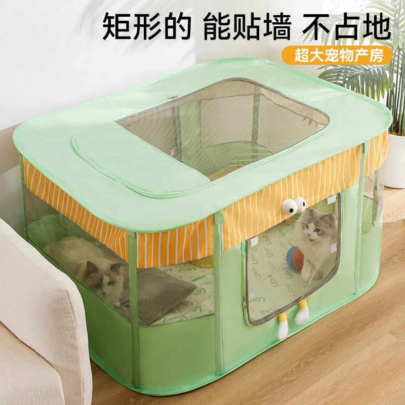 Большие глаза милые и цветные кошачьи родильные комнаты четыре сезона универсальные весной и летом