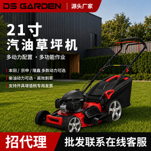 �S��ֱ�N����DSGARDEN���Ͳ�ƺ�C21����ø�ݙC����ʽ�������l