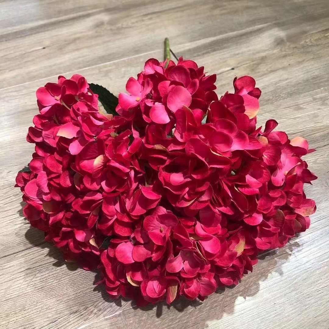 5-cabeza Hortensia francesa Rosa Rojo