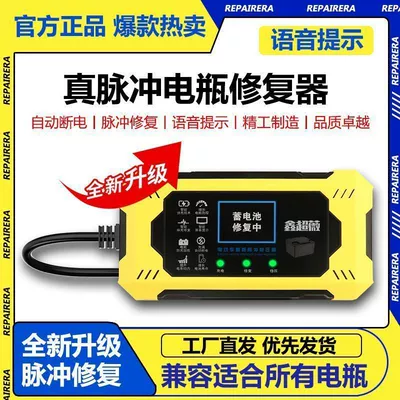 New Electric Vehicle Pulse Other Electric Vehicle Accessories