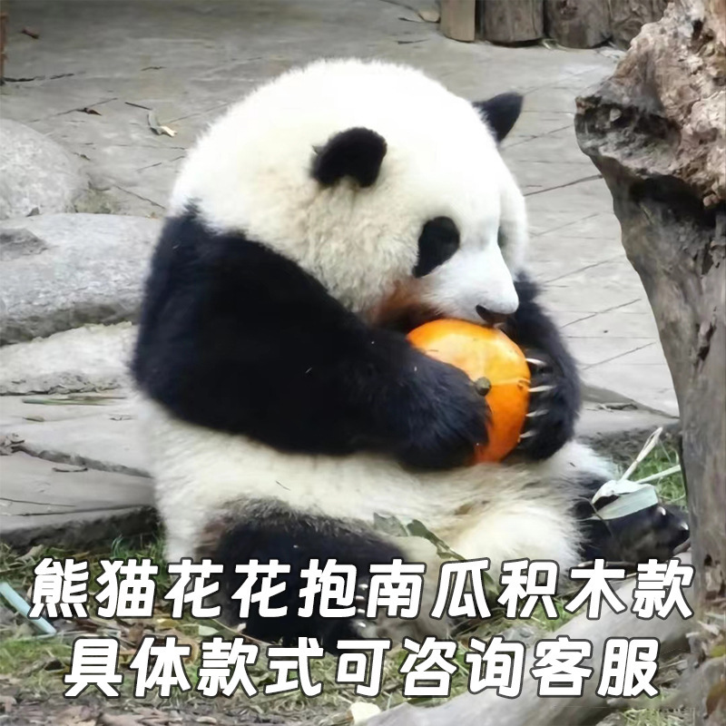 9c9f14c81eb8ce5b5b7d3a040fe179
