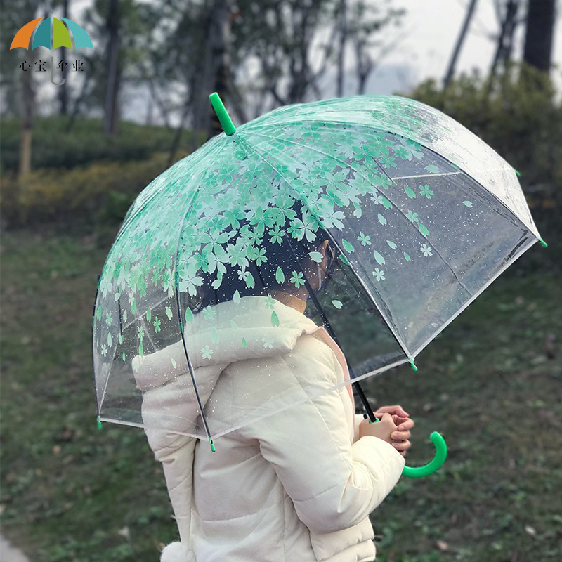 Sakura Apollo Transparent Umbrella, Arched Thickened Transparent Rain Umbrella for Students, Children, Girls, Korean Long-Handled Umbrella, Large Size