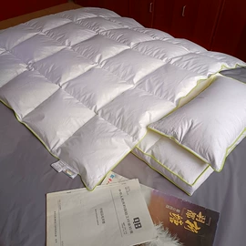 羽绒枕;羽绒被;羽绒羽毛床垫