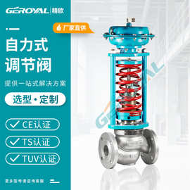 GEROYAL自力式压力调节阀 天然气减压稳压阀蒸汽氮气调压阀 精欧