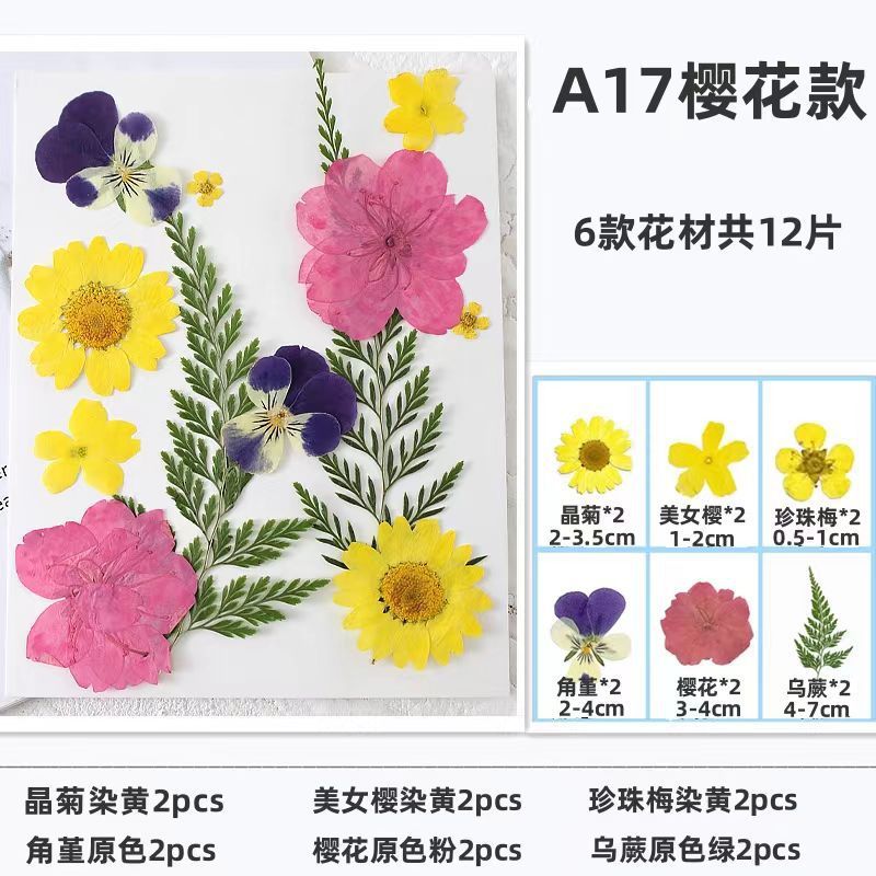 干花diy材料包永生花压花片押花草手工滴胶书签真花植物树叶标本|undefined