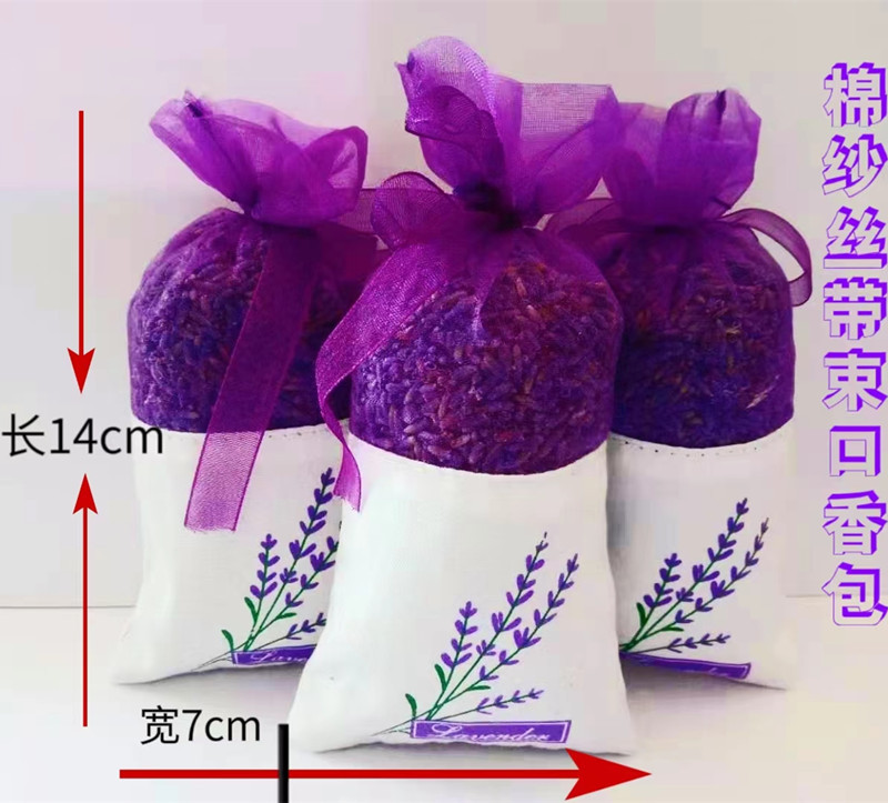 微信图片_20230220171453_副本