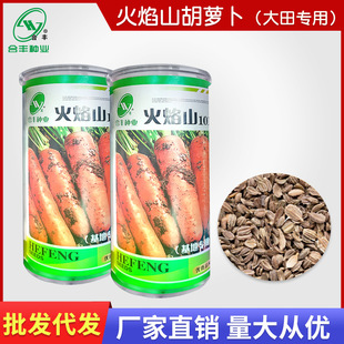 ����ɽ���}���N��350g ������}���N����Ʒ�Nˮ���t���}�������l