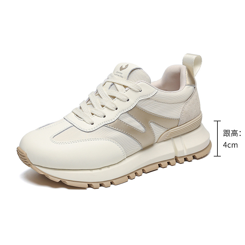 W23B13 골드