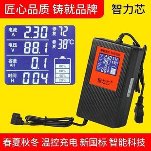 Intelligent Core Graphene Lead-Acid 48V60V72V Intelligent Display Temperature Control Pulse Electric Vehicle Fast Charger