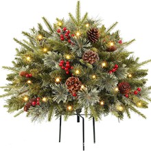 2025¿60װA  AѩֲqѩɫͥԺ زĢ}Q