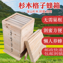 土養蜂箱誘蜂中蜂格子蜂箱杉木全套養蜂蜂桶工具土蜂郵政包郵木質