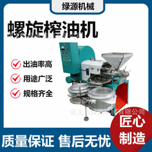 多功能压榨中小型茶籽榨油大型设备 新型茶油螺旋榨油机 绿源机械