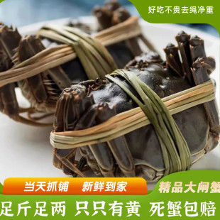 ��з�F�l10ֻ�b���K���lз�r���з��зĸз�Y�к��r��з�Fُ���l