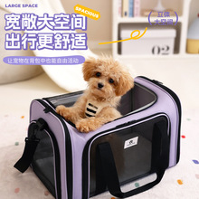 派士龙新款防闷透气宠物包大空间 可折叠户外便携手提猫咪包批发