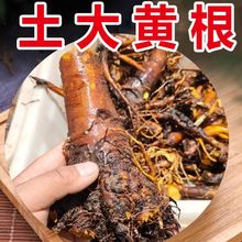 Ұ�����S ���� ���rѪ���� ���F�~�Ӹ� ţ���������ţ���