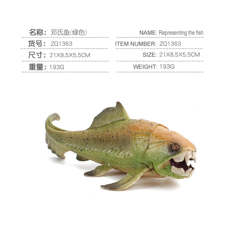 Simulación océano antiguo modelo biológico pescado de Deng loro tornillo crisantemo piedra decoración juguete transfronterizo Amazon