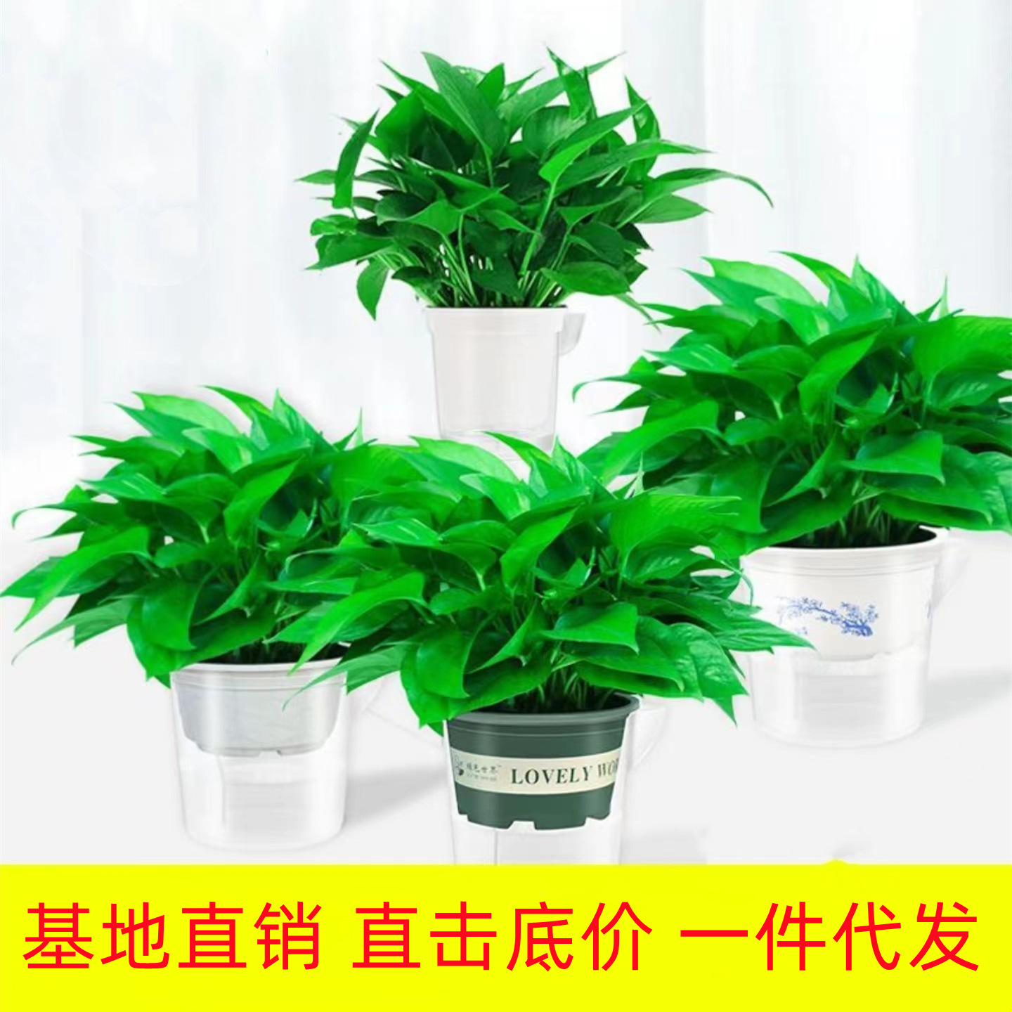 商品图