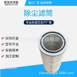 滤芯;滤筒;滤网